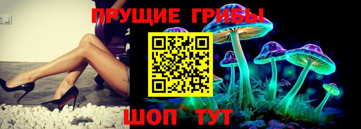 Псилоцибиновые грибы прущие грибы Михайловка